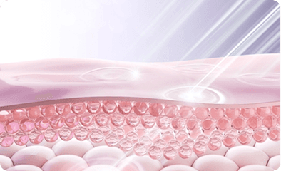 Collagen Regeneration