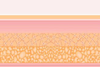 After Treatment (2-3 Months)